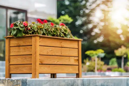 Agencement extérieur jardinière